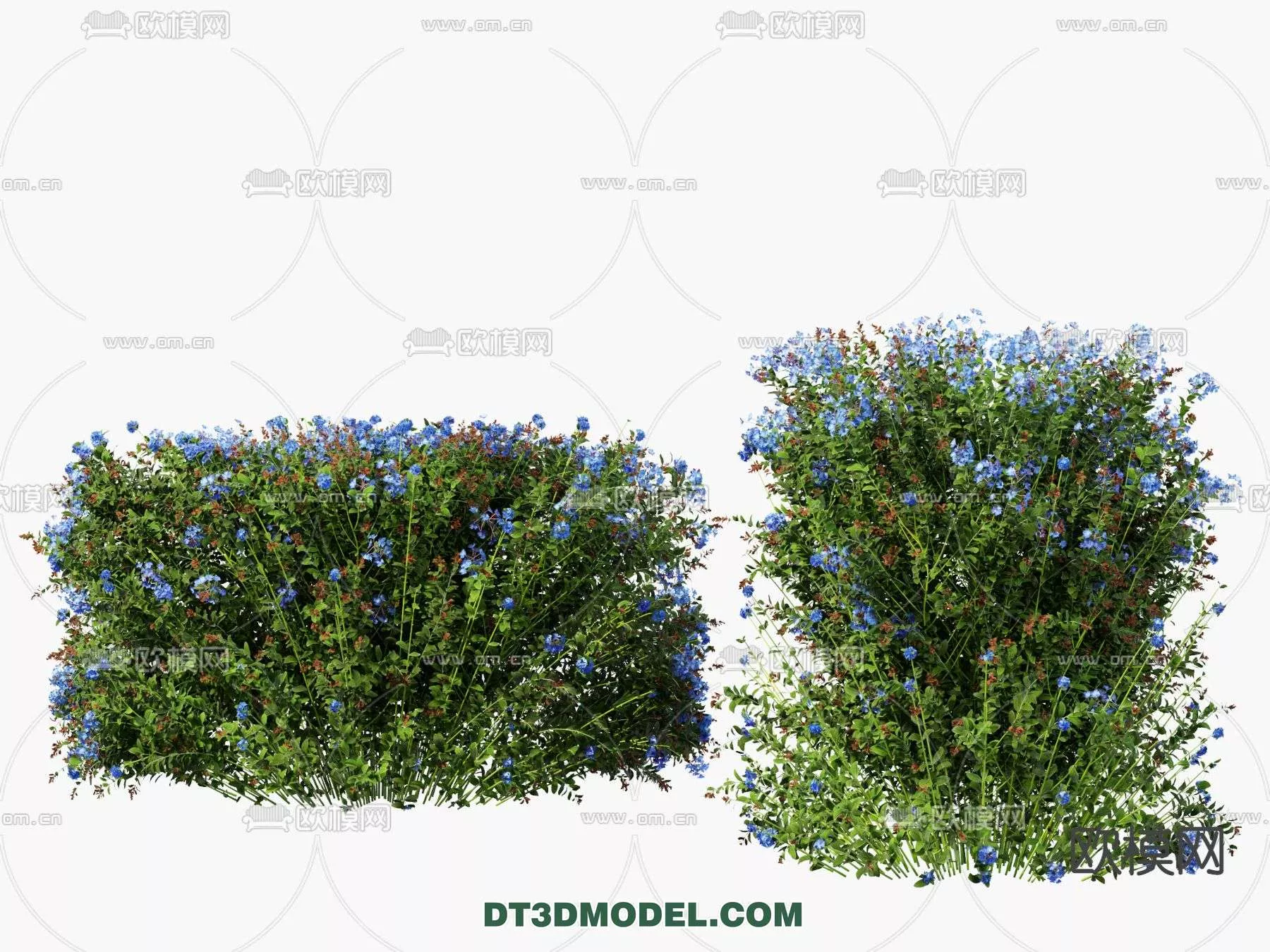 MODERN UNDERSHRUB - SKETCHUP 3D MODEL - VRAY OR ENSCAPE - ID15695