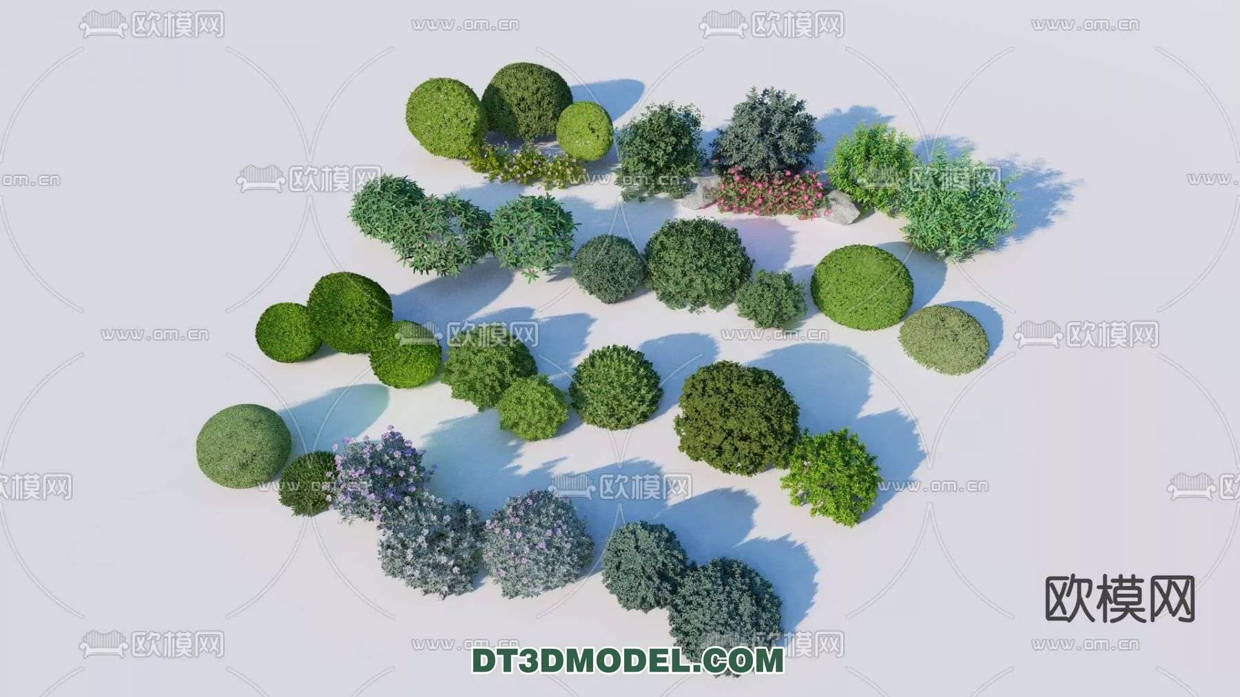 MODERN UNDERSHRUB - SKETCHUP 3D MODEL - VRAY OR ENSCAPE - ID15696