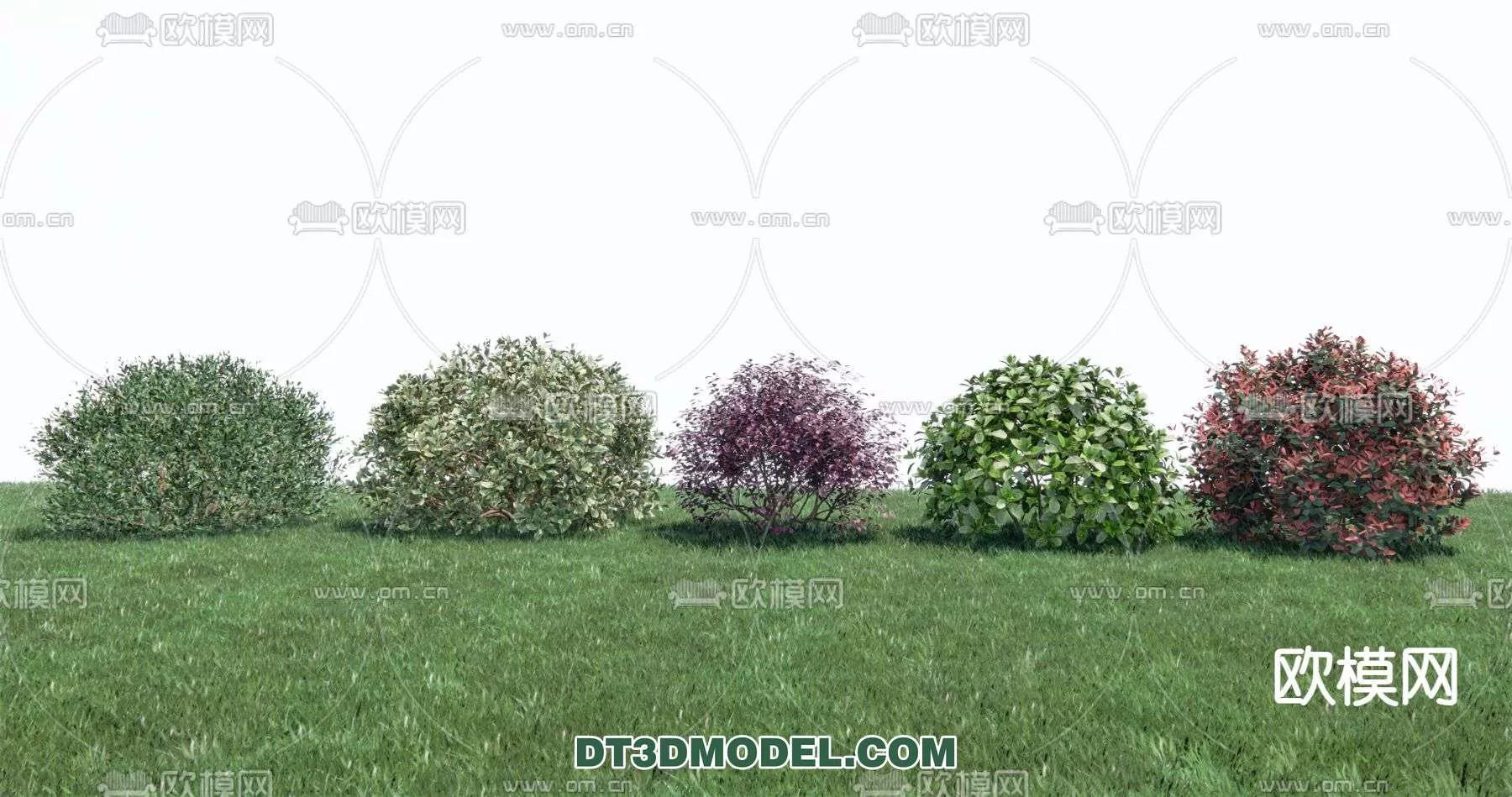 MODERN UNDERSHRUB - SKETCHUP 3D MODEL - VRAY OR ENSCAPE - ID15699