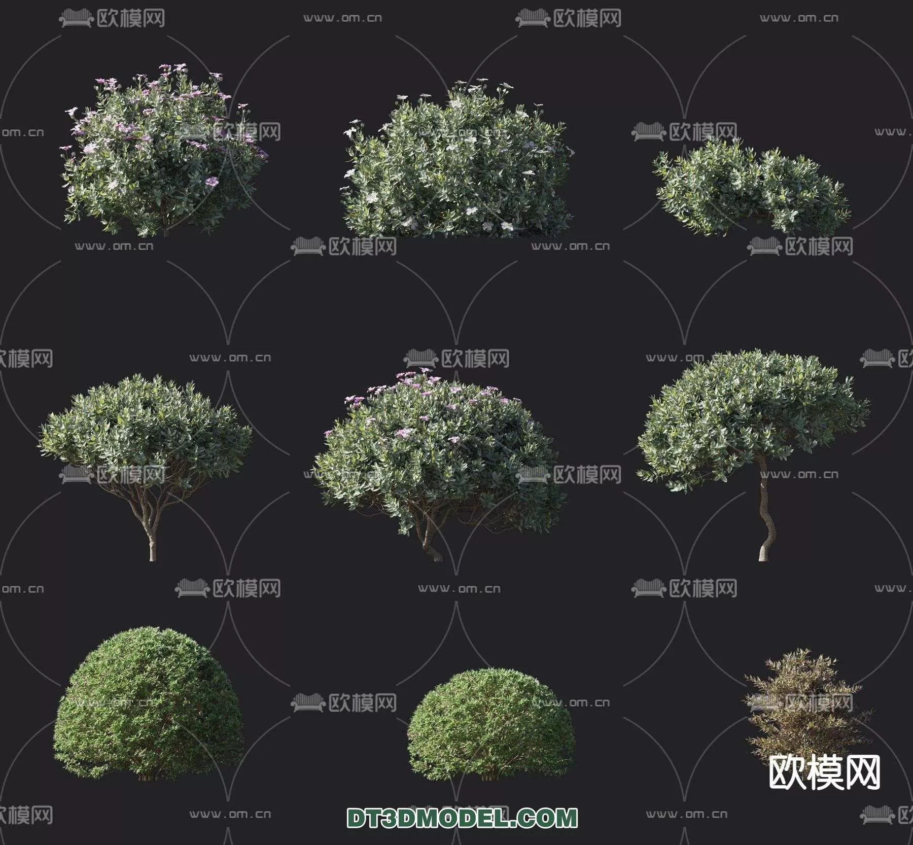 MODERN UNDERSHRUB - SKETCHUP 3D MODEL - VRAY OR ENSCAPE - ID15702