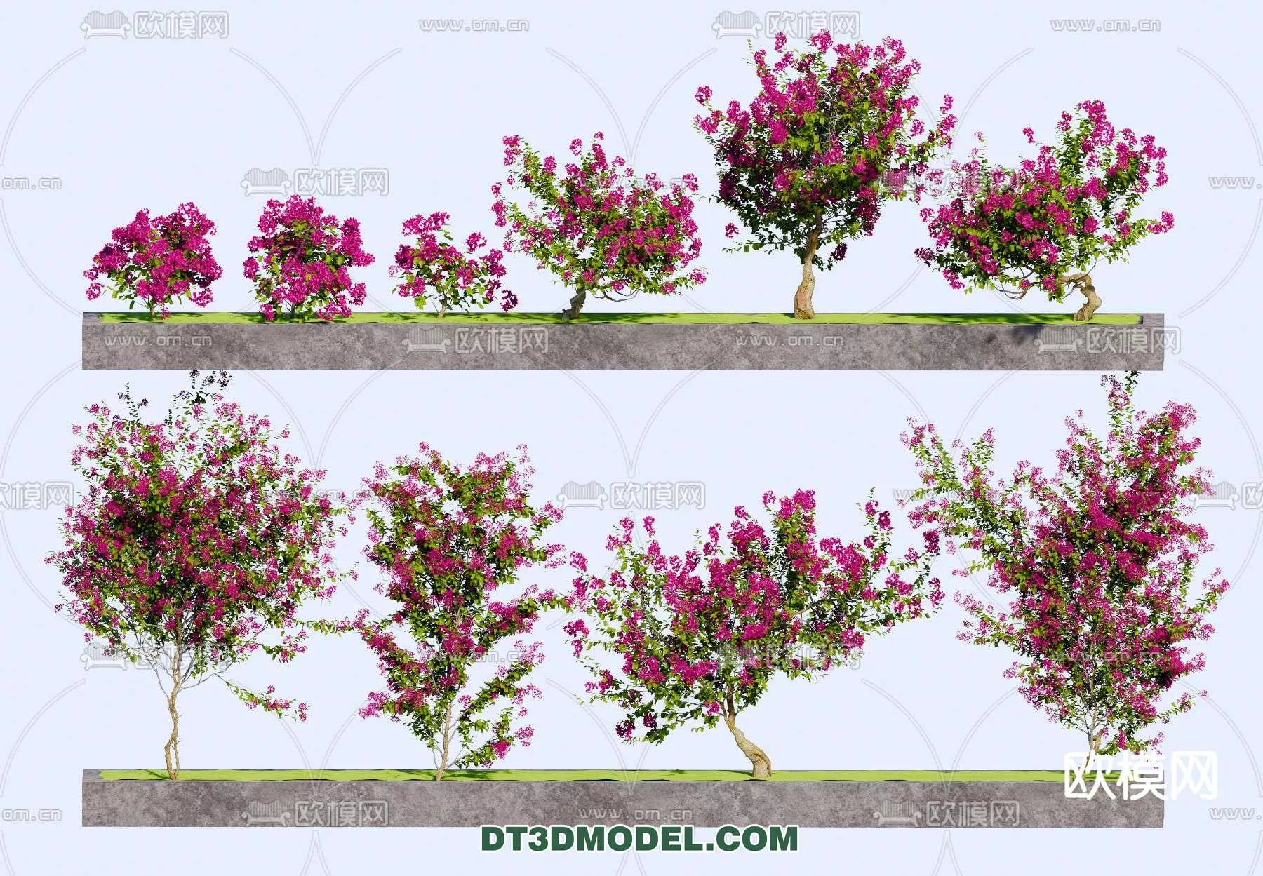 MODERN UNDERSHRUB - SKETCHUP 3D MODEL - VRAY OR ENSCAPE - ID15704