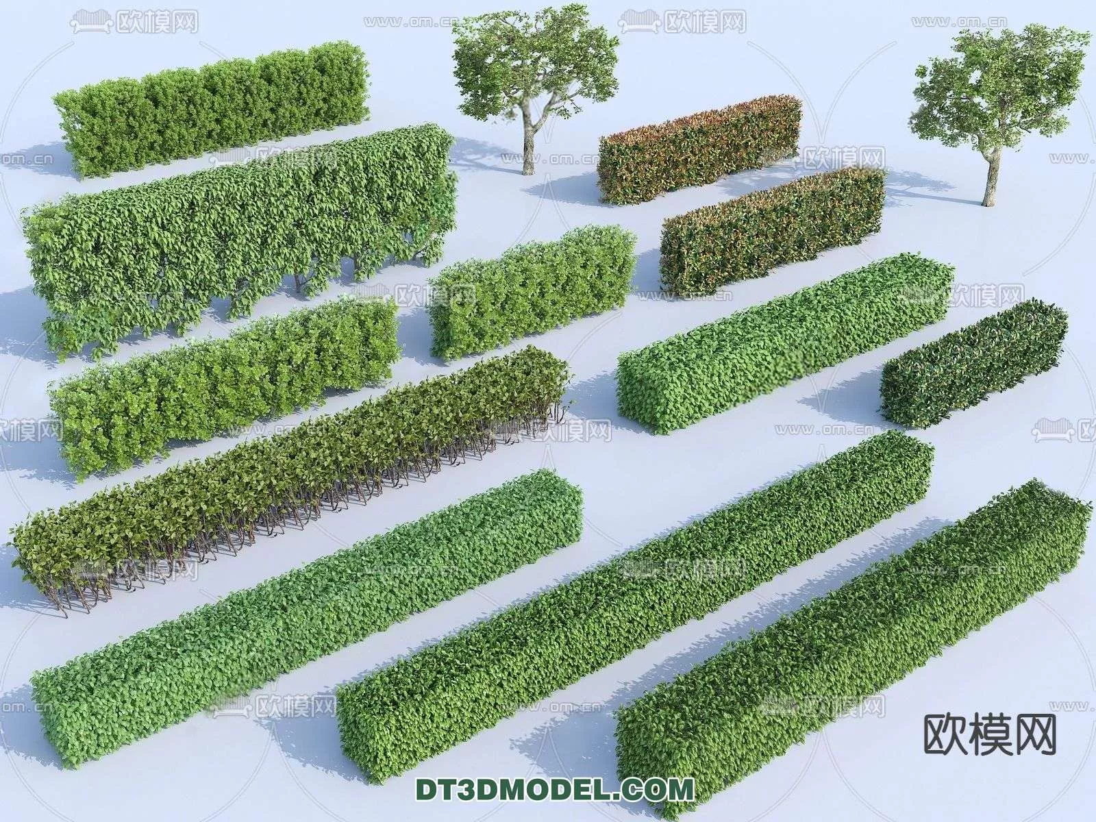 MODERN UNDERSHRUB - SKETCHUP 3D MODEL - VRAY OR ENSCAPE - ID15707