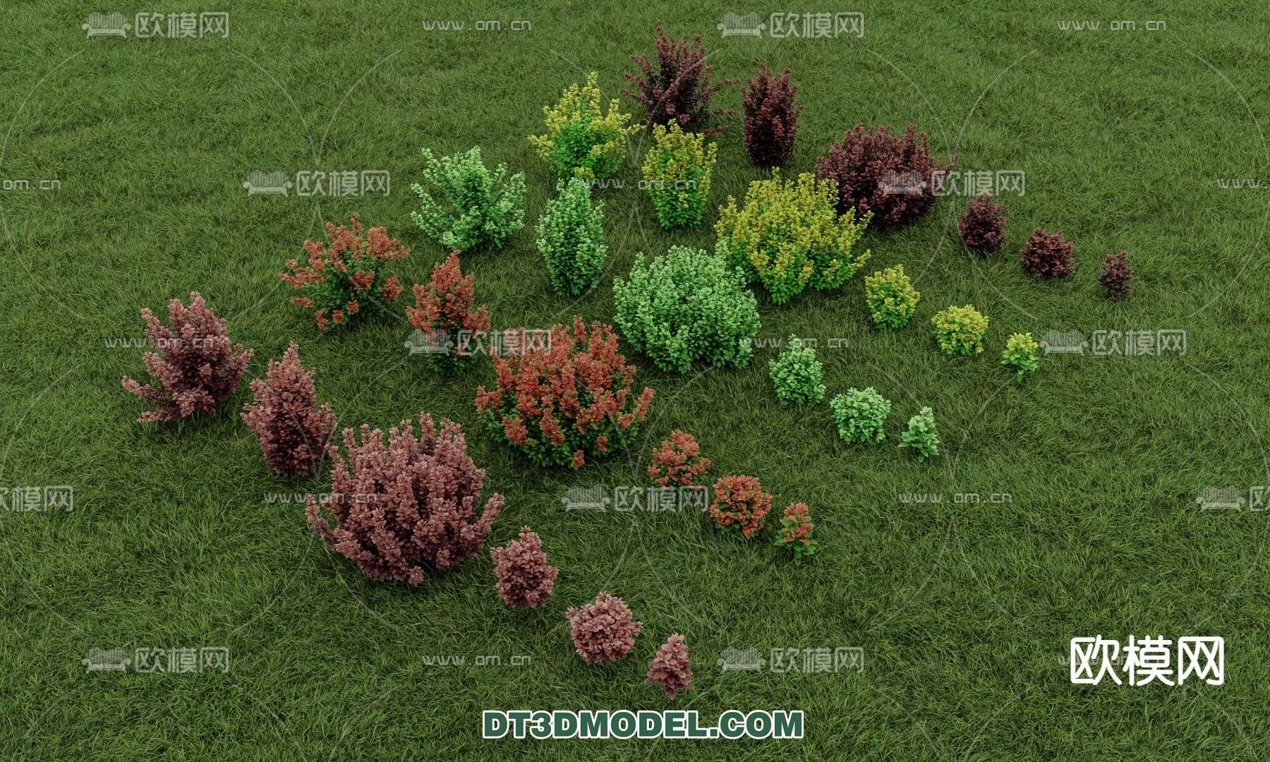 MODERN UNDERSHRUB - SKETCHUP 3D MODEL - VRAY OR ENSCAPE - ID15708