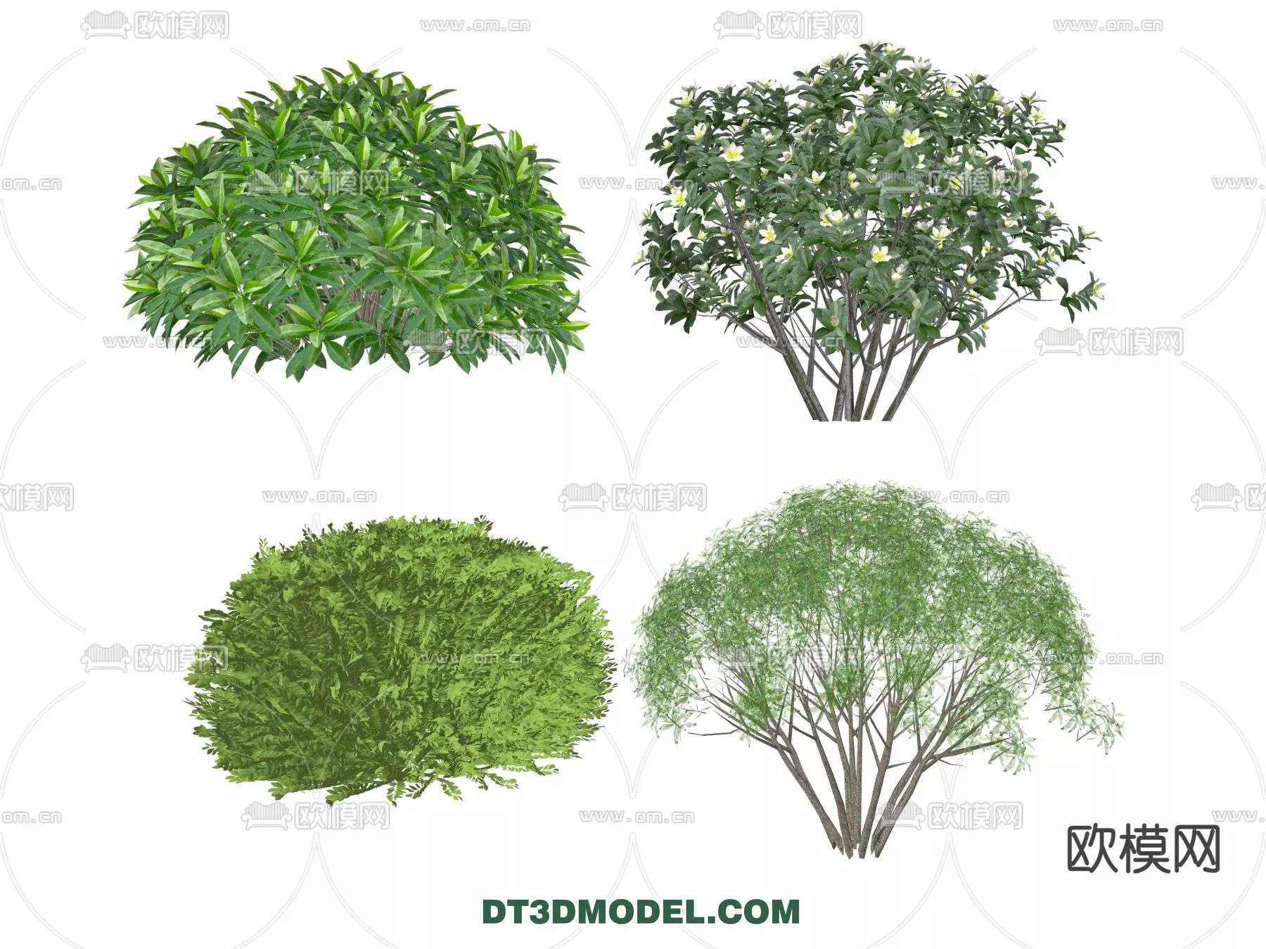 MODERN UNDERSHRUB - SKETCHUP 3D MODEL - VRAY OR ENSCAPE - ID15713