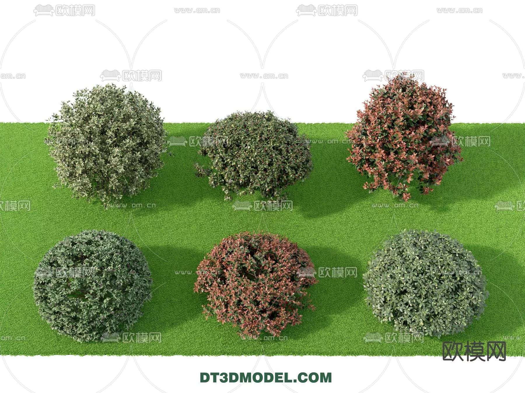 MODERN UNDERSHRUB - SKETCHUP 3D MODEL - VRAY OR ENSCAPE - ID15715