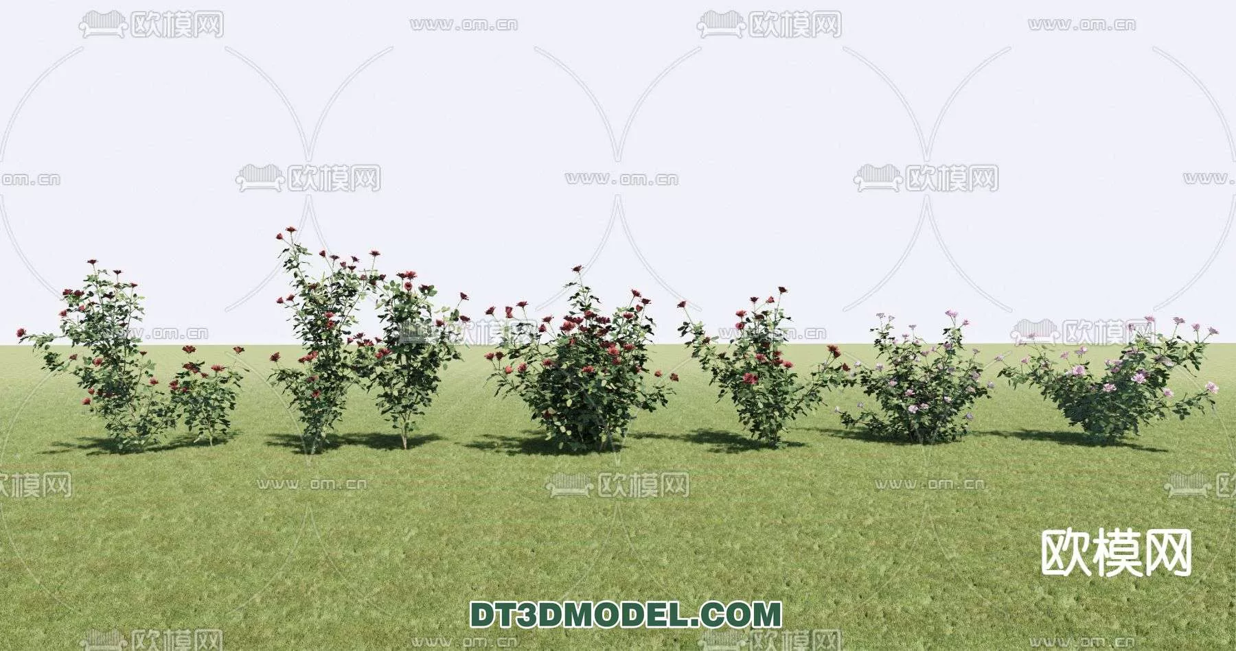 MODERN UNDERSHRUB - SKETCHUP 3D MODEL - VRAY OR ENSCAPE - ID15741