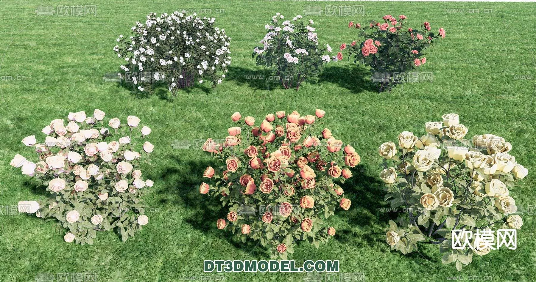 MODERN UNDERSHRUB - SKETCHUP 3D MODEL - VRAY OR ENSCAPE - ID15742