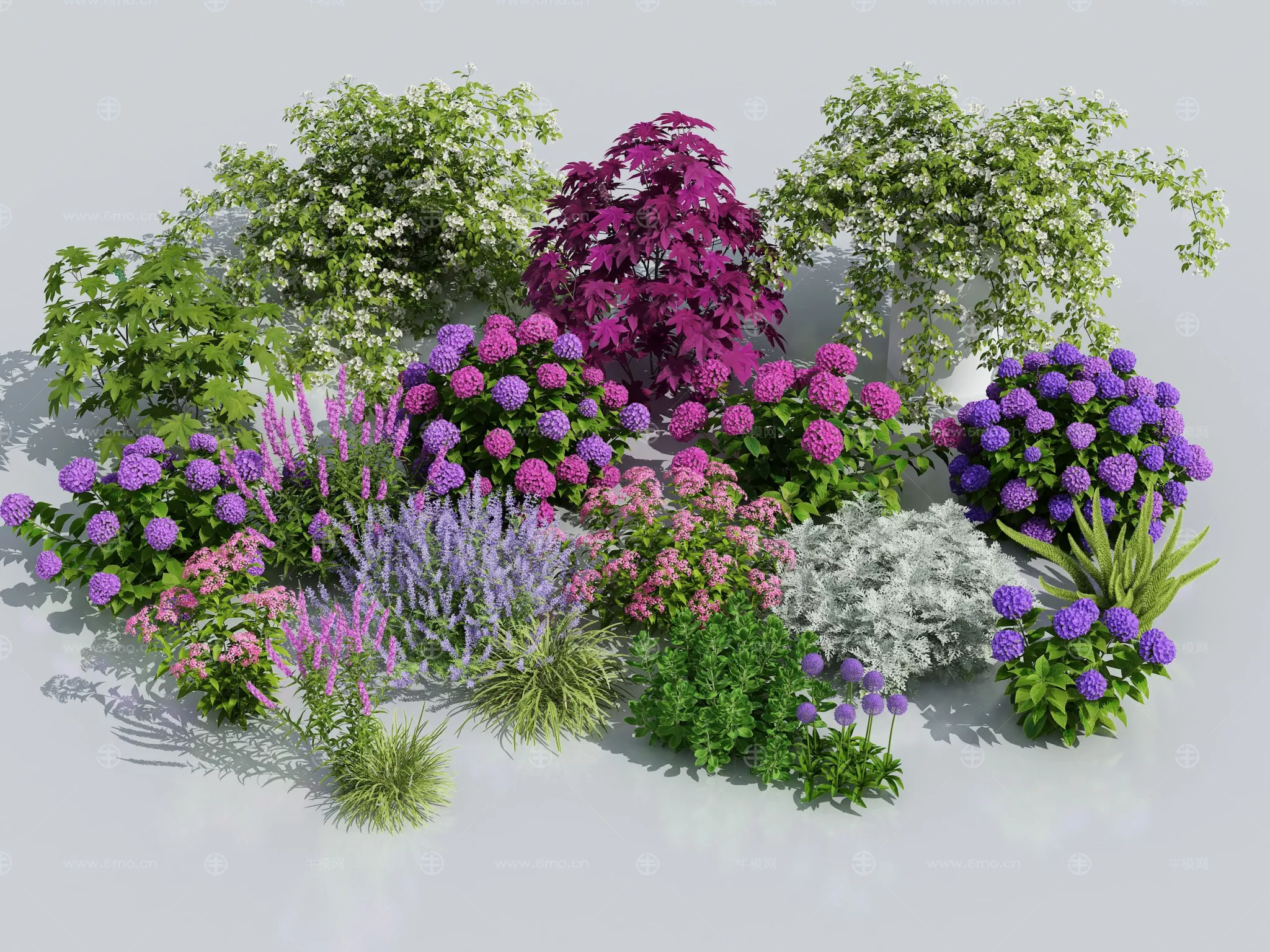 OUTDOOR PLANT - SKETCHUP 3D MODEL - ENSCAPE - 276958