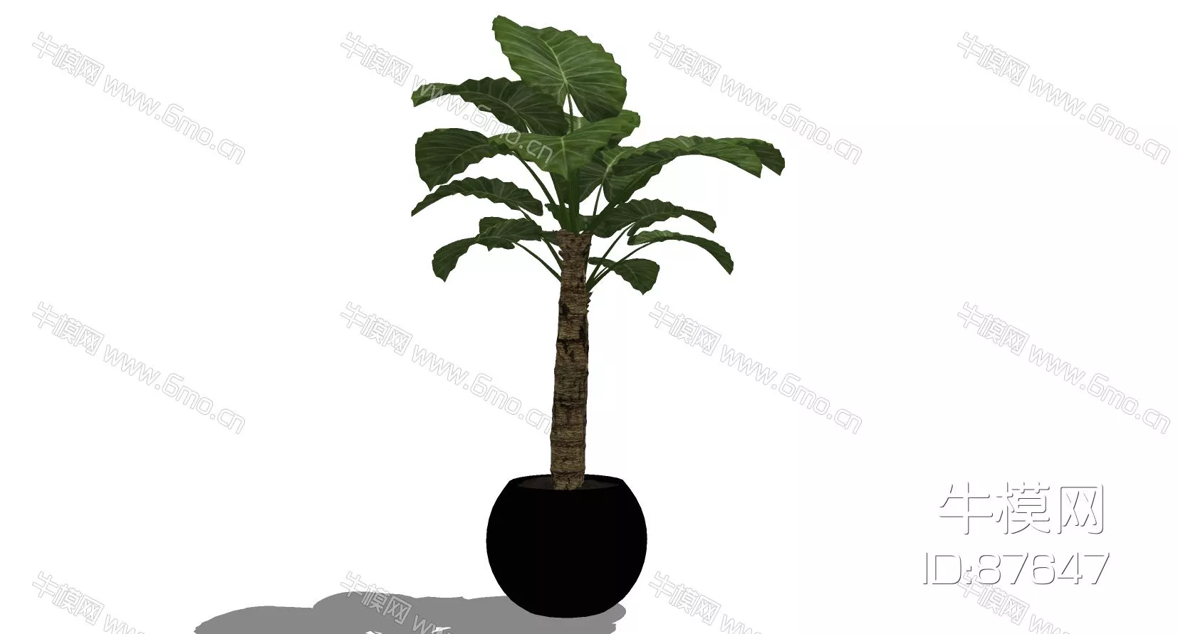 OUTDOOR POTTED PLANT - SKETCHUP 3D MODEL - ENSCAPE - 87647