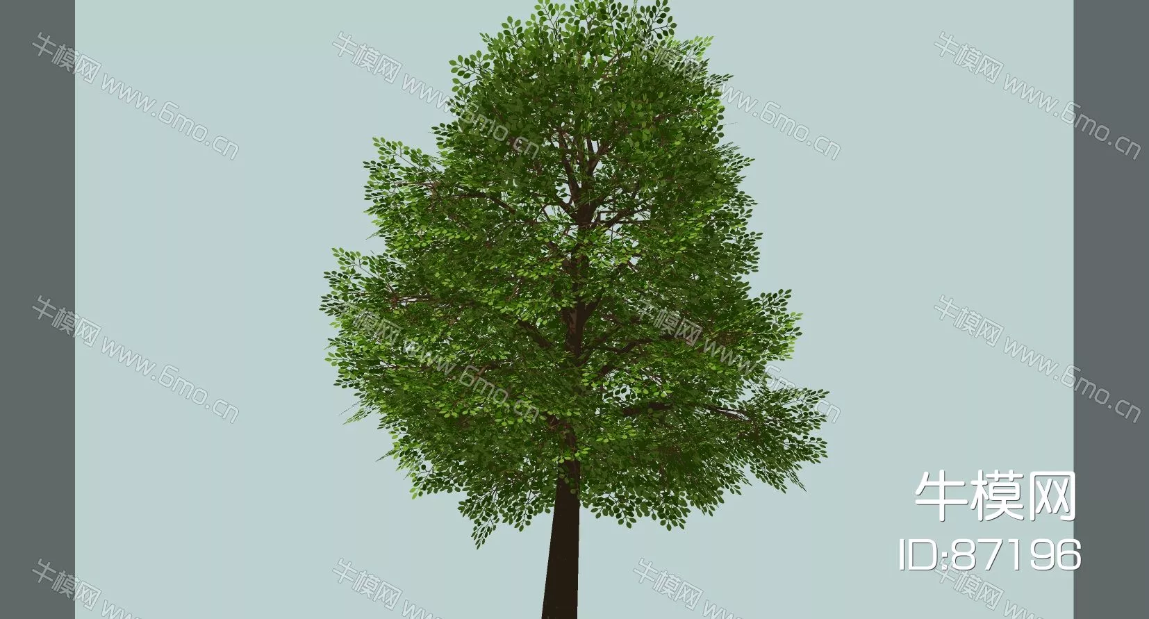 OUTDOOR TREE - SKETCHUP 3D MODEL - ENSCAPE - 87196