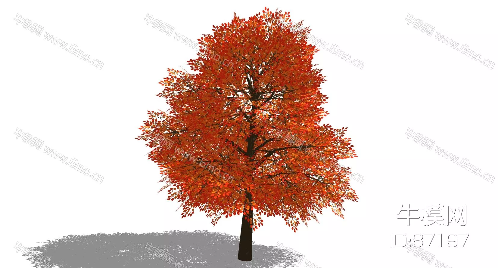 OUTDOOR TREE - SKETCHUP 3D MODEL - ENSCAPE - 87197