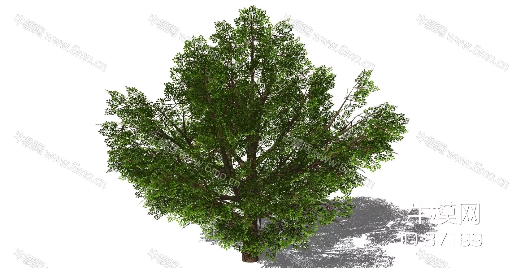 OUTDOOR TREE - SKETCHUP 3D MODEL - ENSCAPE - 87199