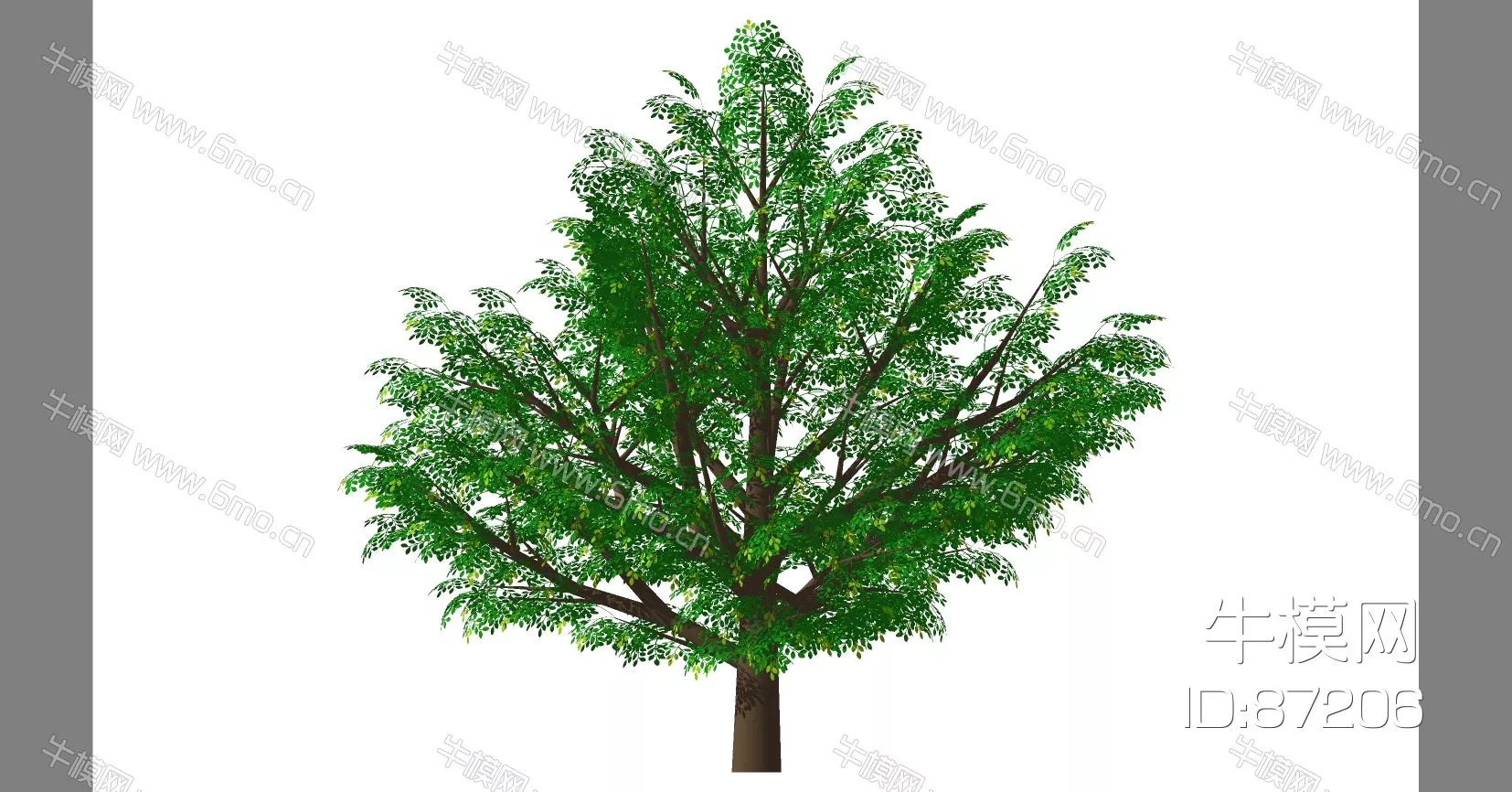 OUTDOOR TREE - SKETCHUP 3D MODEL - ENSCAPE - 87206