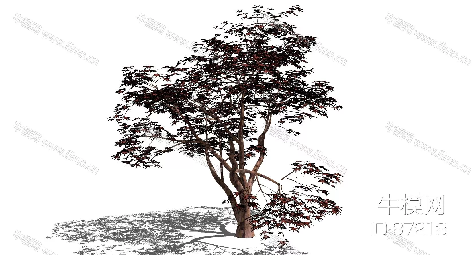 OUTDOOR TREE - SKETCHUP 3D MODEL - ENSCAPE - 87213