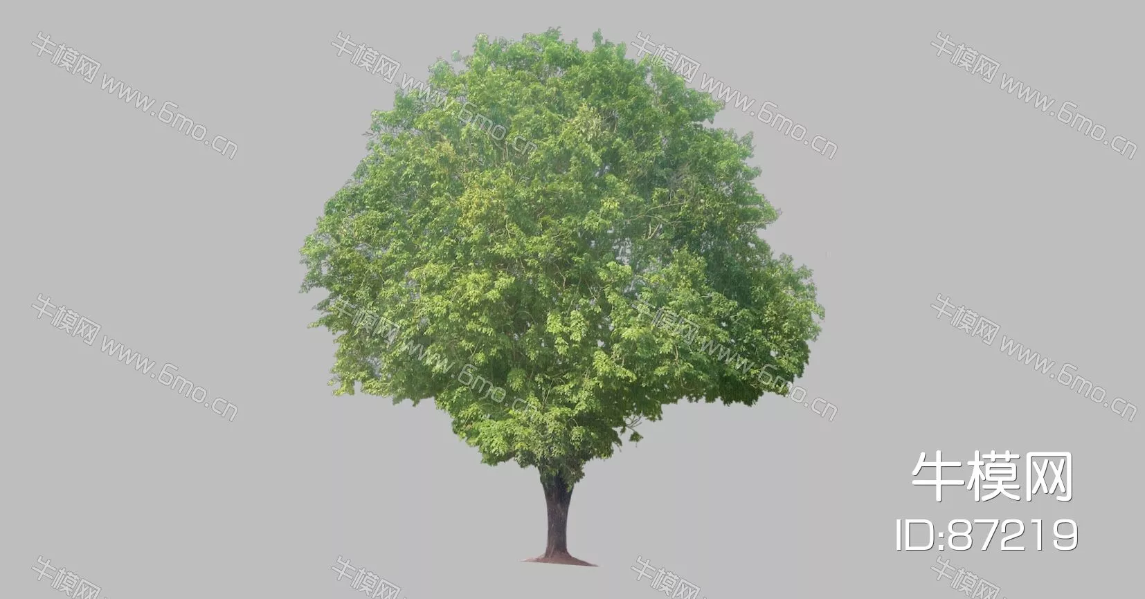 OUTDOOR TREE - SKETCHUP 3D MODEL - ENSCAPE - 87219