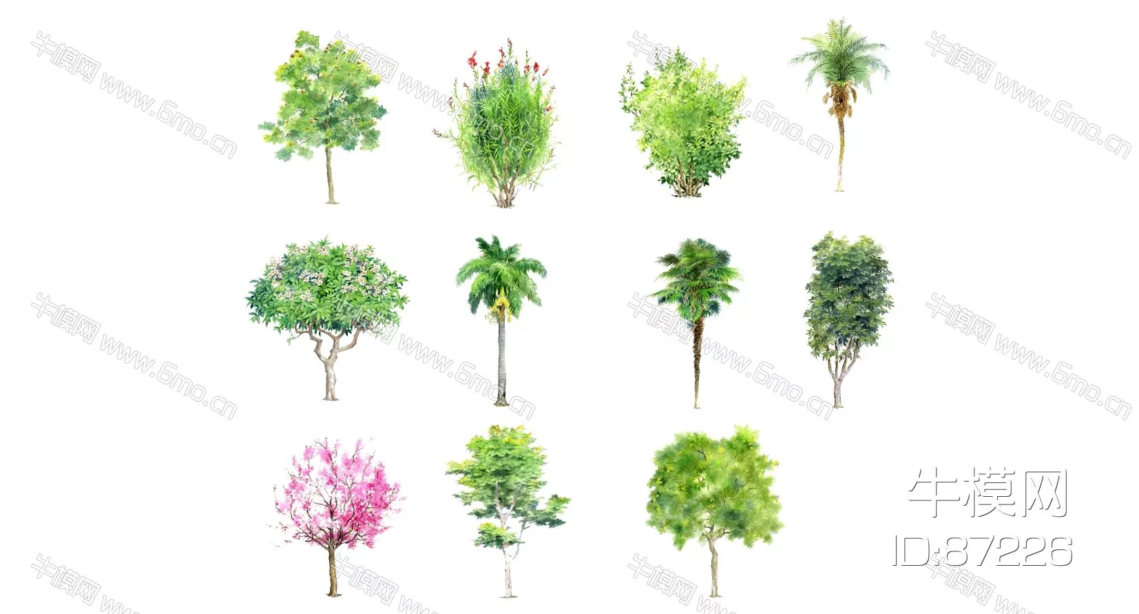 OUTDOOR TREE - SKETCHUP 3D MODEL - ENSCAPE - 87226