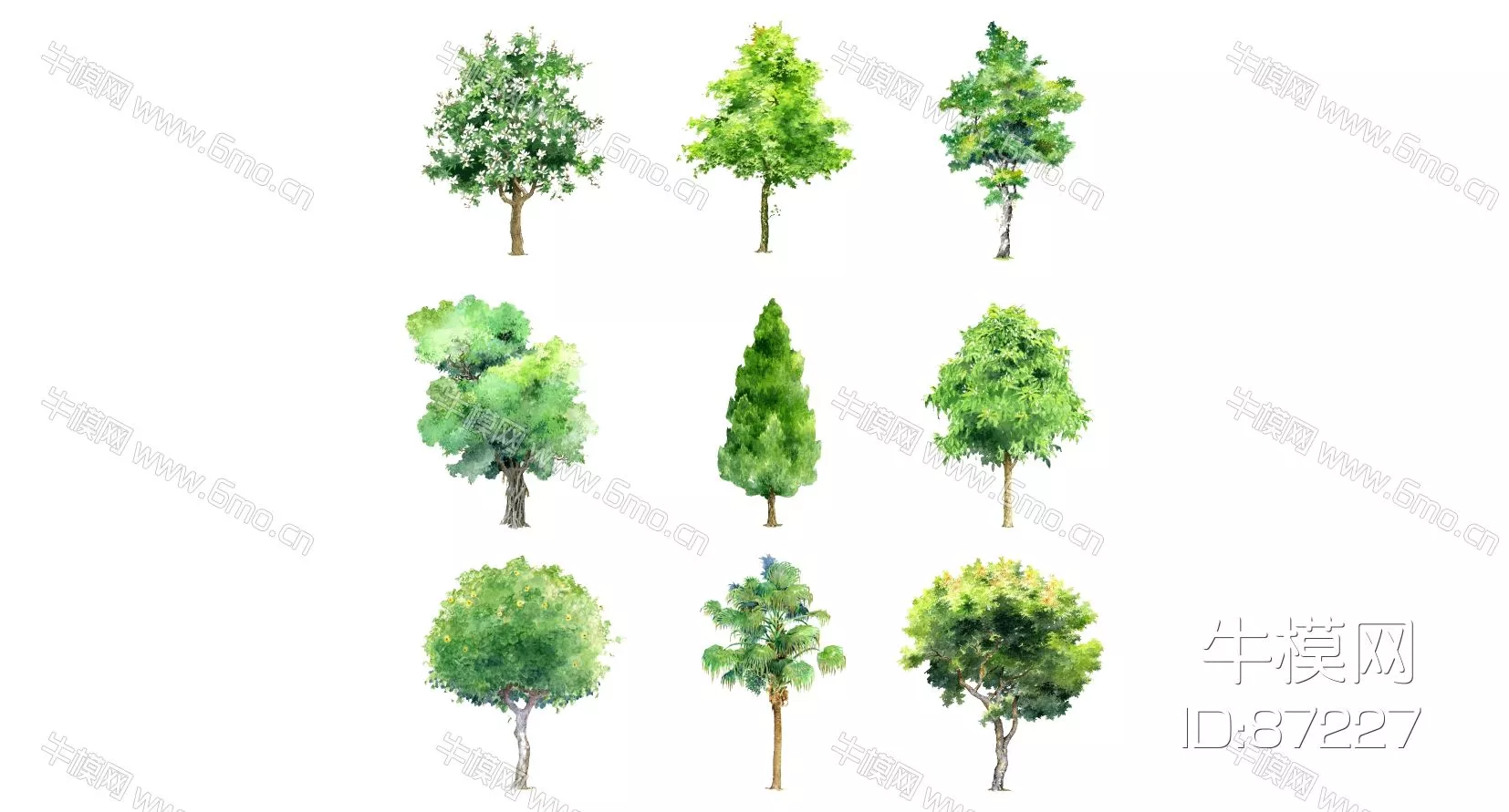 OUTDOOR TREE - SKETCHUP 3D MODEL - ENSCAPE - 87227