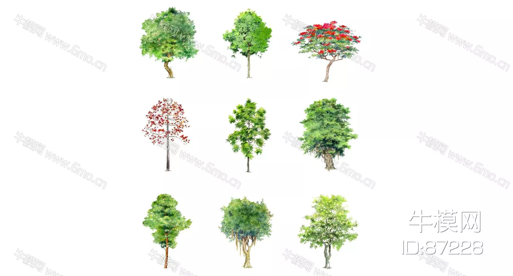 OUTDOOR TREE - SKETCHUP 3D MODEL - ENSCAPE - 87228