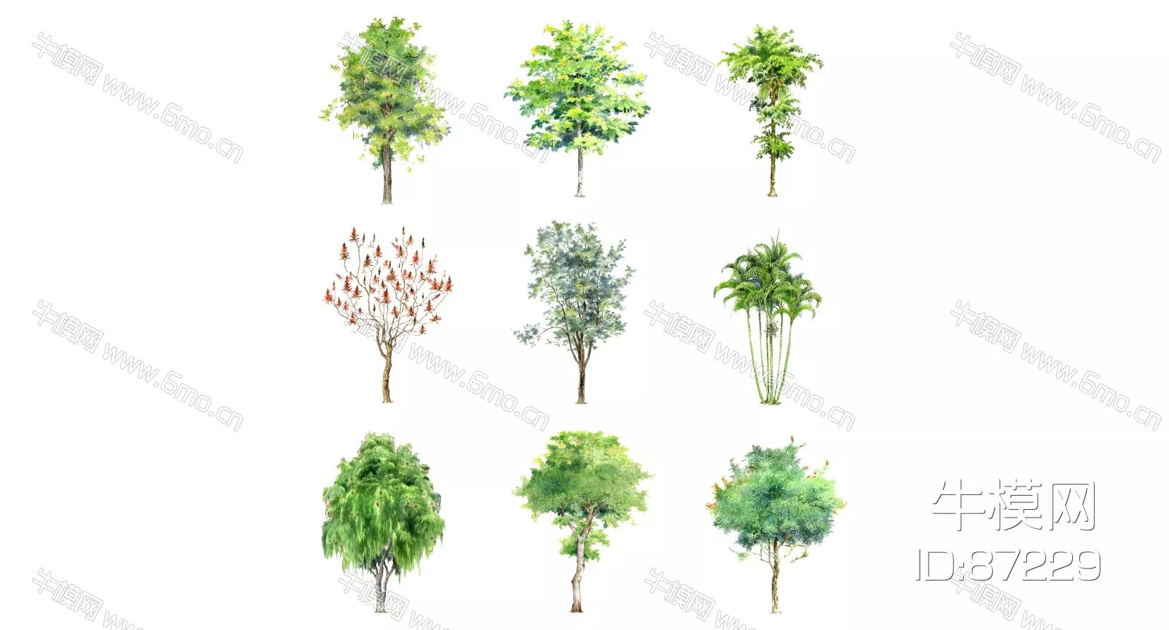 OUTDOOR TREE - SKETCHUP 3D MODEL - ENSCAPE - 87229