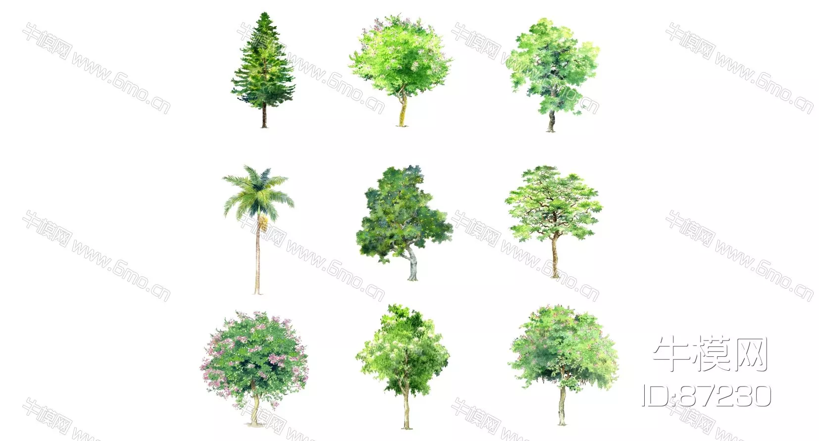 OUTDOOR TREE - SKETCHUP 3D MODEL - ENSCAPE - 87230