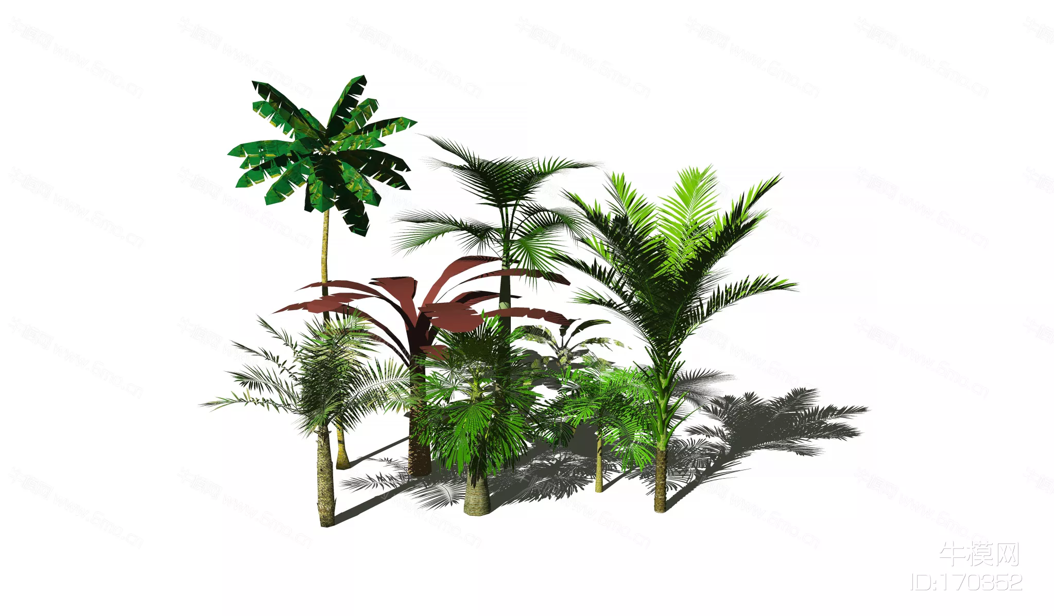 SOUTHEAST ASIAN TREE - SKETCHUP 3D MODEL - ENSCAPE - 170352