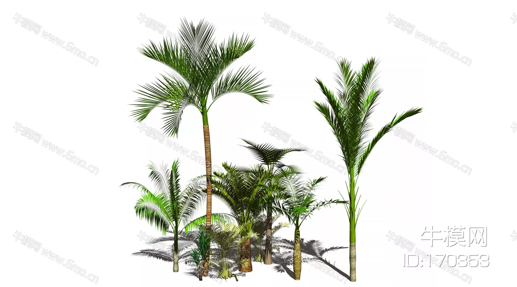 SOUTHEAST ASIAN TREE - SKETCHUP 3D MODEL - ENSCAPE - 170353