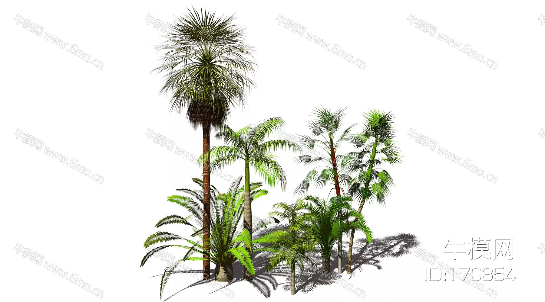 SOUTHEAST ASIAN TREE - SKETCHUP 3D MODEL - ENSCAPE - 170354