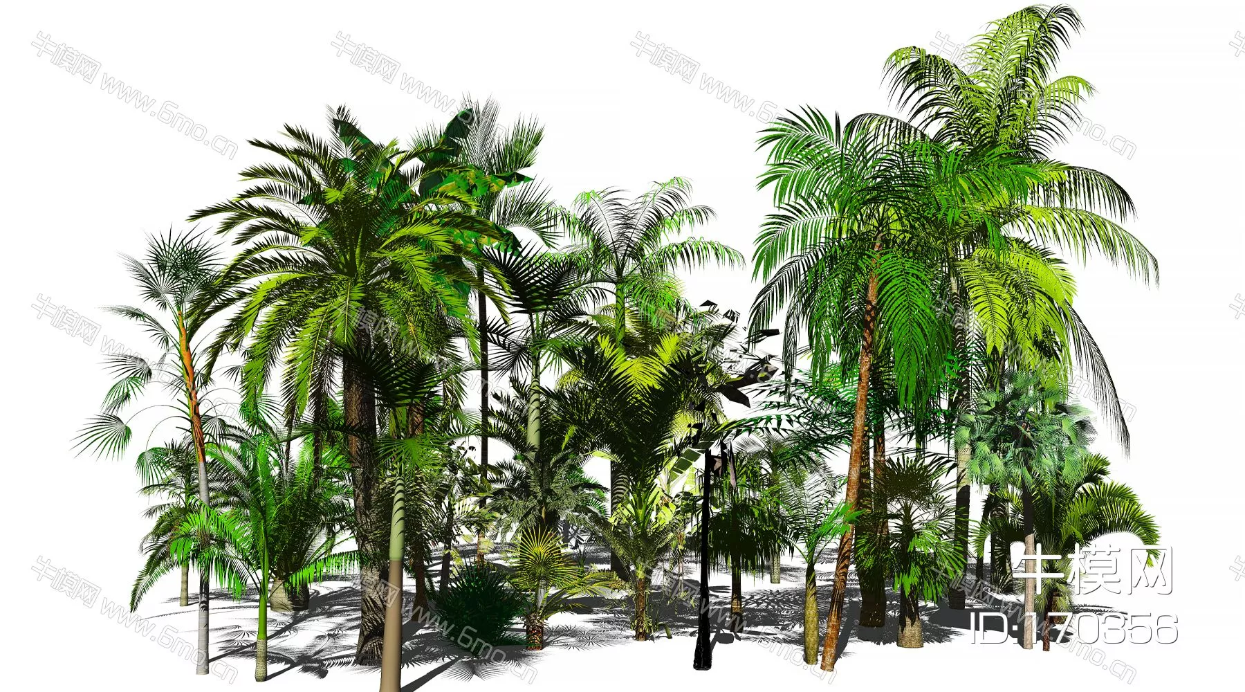 SOUTHEAST ASIAN TREE - SKETCHUP 3D MODEL - ENSCAPE - 170356